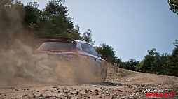 画像ギャラリー No.011のサムネイル画像 / 「Assetto Corsa Rally」，大型アップデートV0.5を配信開始。ギリシャラリーの新ステージや最大16人マルチプレイに対応