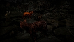 Meowmories