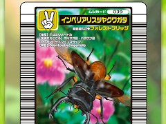 「甲虫王者ムシキング」を題材としたブロックチェーンゲーム「MUSHInomics with MUSHIKING」，サービス開始