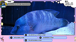 画像ギャラリー No.003のサムネイル画像 / 「いつでも伊勢シーパラダイス 距離感ゼロの水族館図鑑」,本日発売。生き物たちや水族館について学べるゲーム