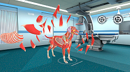 Animal Anatomy XR