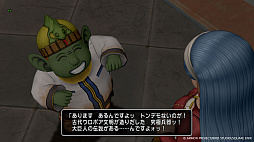 画像ギャラリー No.007のサムネイル画像 / 「ドラゴンクエストX 時空の迷い子たち オンライン」,砂の王国「ソルベルム王国」と,女王セリーナと王国の騎士団長ハーディオを紹介