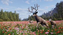 画像ギャラリー No.003のサムネイル画像 / 人気狩猟シムの続編「Way of the Hunter 2」が発表に。アナウンストレイラーが公開され,狩猟犬「ハンティングドッグ」などの新要素が登場