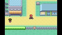 ポケットモンスター ファイアレッド