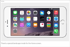 画像ギャラリー No.004のサムネイル画像 / 4.7インチディスプレイの「iPhone 6」と5.5インチディスプレイの「iPhone 6 Plus」が発表,日本での発売は9月19日で,9月12日16:00よりNTTドコモとKDDI,ソフトバンクモバイルで予約受付開始