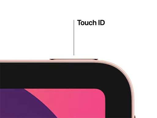 画像ギャラリー No.002のサムネイル画像 / 第4世代の新型「iPad Air」が10.9インチ液晶＆「A14 Bionic」搭載で登場。「A12 Bionic」搭載の第8世代「iPad」は9月18日発売
