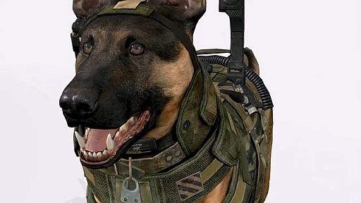画像ギャラリー No.010のサムネイル画像 / Xbox Oneのイベントで「Call of Duty：Ghosts」の新たなフィーチャーを紹介する驚愕のトレイラーが公開