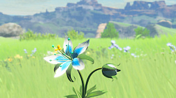 画像ギャラリー No.030のサムネイル画像 / 「ゼルダの伝説 ブレス オブ ザ ワイルド」の発売は，Nintendo Switchの発売と同じ2017年3月3日に決定