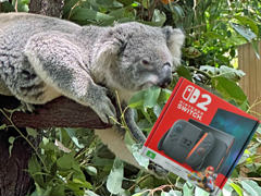 オーストラリア滞在者だけど「Nintendo Switch 2」を現地で買ってみた。日本との違いはどんな感じ？　あとコアラもいるよ🐨🐨！