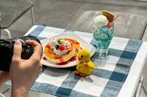 画像ギャラリー No.014のサムネイル画像 / 推し方は1つじゃない！　ソニーストアのスタイリストに聞いた推し活最新事情【ぬい撮り＆ライブ映像鑑賞】