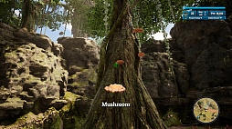 Morels: Out of This World