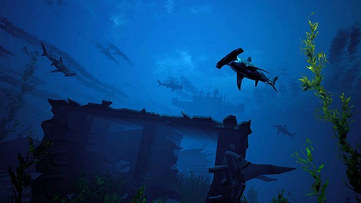 画像ギャラリー No.002のサムネイル画像 / ［E3 2018］人食いザメになって暴れ回るアクションRPG「Maneater」のトレイラーが公開に