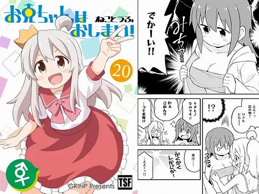 画像ギャラリー No.009のサムネイル画像 / DLsiteがセールを実施。タワーディフェンス「Duel Princess」やPRG「Promise」などのゲーム作品も