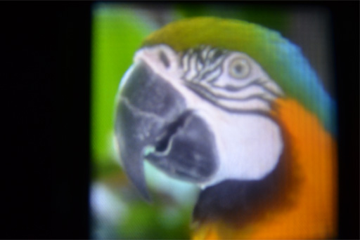 画像ギャラリー No.013のサムネイル画像 / ［SIGGRAPH］「Oculus Rift」に対抗!? NVIDIAがサングラススタイルの立体視対応HMDを披露