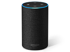 「Google Home」や「Amazon Echo」はゲームでも使えるもの？ ゲーマーも知っておきたい「スマートスピーカー」の今とこれから