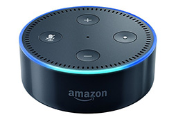 画像ギャラリー No.005のサムネイル画像 / 「Google Home」や「Amazon Echo」はゲームでも使えるもの? ゲーマーも知っておきたい「スマートスピーカー」の今とこれから