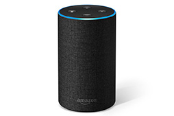画像ギャラリー No.010のサムネイル画像 / 「Google Home」や「Amazon Echo」はゲームでも使えるもの? ゲーマーも知っておきたい「スマートスピーカー」の今とこれから