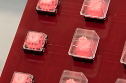 画像ギャラリー No.005のサムネイル画像 / ［COMPUTEX］新作は「筐体の中央が光る」と「パンタ式でより浅い」。Kaihuaのゲーマー向け新作キースイッチ2製品を見てきた
