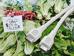 あらためて確認する「DisplayHDR」と「DSC」。「DisplayPortのいま」には要注意のポイント多し!?