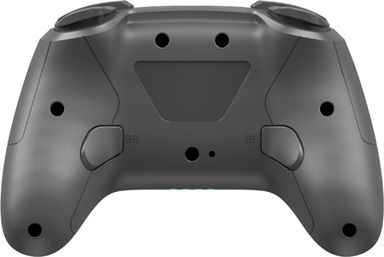 画像ギャラリー No.005のサムネイル画像 / 高耐久を謳うマイクロスイッチ採用のSwitch用ゲームパッドが登場。無線と有線の2タイプを用意