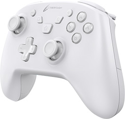 画像ギャラリー No.002のサムネイル画像 / 高耐久スイッチ採用のSwitch用ゲームパッドにLEDを省略した新製品登場