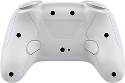 画像ギャラリー No.006のサムネイル画像 / 高耐久スイッチ採用のSwitch用ゲームパッドにLEDを省略した新製品登場