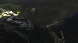 画像ギャラリー No.018のサムネイル画像 / ［E3 2016］「人喰いの大鷲トリコ」の発売日は2016年10月25日。E3 2016版の最新トレイラーも公開