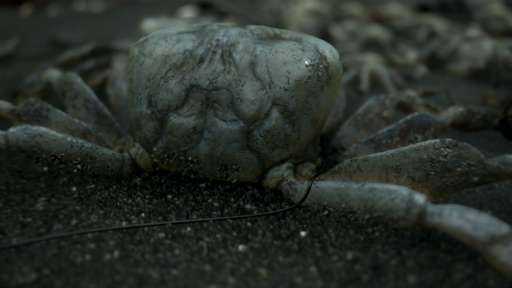 画像ギャラリー No.012のサムネイル画像 / ［E3 2016］小島監督のPS4向け新作「DEATH STRANDING」発表。俳優のノーマン・リーダスさんが主役を演じるトレイラーがお披露目に
