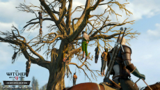 画像ギャラリー No.014のサムネイル画像 / ［E3 2019］「The Witcher 3: Wild Hunt Complete Edition」がNintendo Switchで2019年発売決定