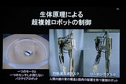 画像ギャラリー No.043のサムネイル画像 / ［CEDEC 2013］人間とは何か？　アンドロイド研究から分かった“人間の存在感”とは