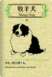 画像ギャラリー No.004のサムネイル画像 / 1人用カードゲーム「シェフィ」が16日に発売。1匹の羊を1000匹に増やそう