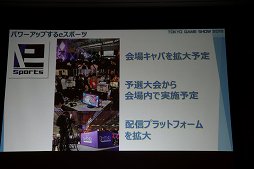 画像ギャラリー No.028のサムネイル画像 / 東京ゲームショウ2018は9月20日から23日まで開催。テーマ「新たなステージ,開幕。」などがアナウンスされた発表会をレポート
