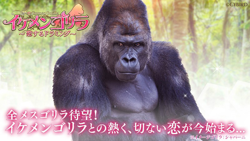 画像ギャラリー No.001のサムネイル画像 / 「イケメンシリーズ」,ゴリラ「シャバーニ」のアバターがもらえるキャンペーンを実施中