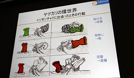 画像ギャラリー No.035のサムネイル画像 / ［CEDEC 2019］日本古来の「虫の視点」がAIの今後のカギを握る。AI研究者，中島秀之氏による基調講演「AIの諸問題に対する日本語的アプローチ」レポート