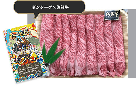 画像ギャラリー No.014のサムネイル画像 / 「ロマ佐賀ミュージック総選挙」で好きなサガシリーズ楽曲に投票しよう。お買い物企画となる，ロマンシング佐賀のサマーフェアもスタート