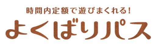 画像ギャラリー No.005のサムネイル画像 / 「モーリーファンタジー 柏店」4月20日にリニューアルオープン。3歳以上の子どもがひとりで遊べる遊び場“スキッズガーデン」”を併設