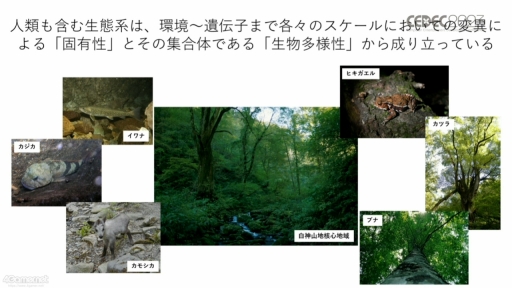 画像ギャラリー No.003のサムネイル画像 / ［CEDEC 2023］生物多様性は，実はゲームやブロックチェーンと相性がいい。3Dデジタル生物標本の活用アイデアなどが語られたセッションをレポート