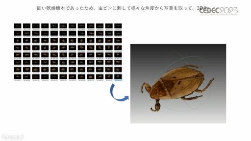 画像ギャラリー No.012のサムネイル画像 / ［CEDEC 2023］生物多様性は，実はゲームやブロックチェーンと相性がいい。3Dデジタル生物標本の活用アイデアなどが語られたセッションをレポート