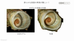 画像ギャラリー No.027のサムネイル画像 / ［CEDEC 2023］生物多様性は，実はゲームやブロックチェーンと相性がいい。3Dデジタル生物標本の活用アイデアなどが語られたセッションをレポート