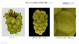画像ギャラリー No.028のサムネイル画像 / ［CEDEC 2023］生物多様性は，実はゲームやブロックチェーンと相性がいい。3Dデジタル生物標本の活用アイデアなどが語られたセッションをレポート