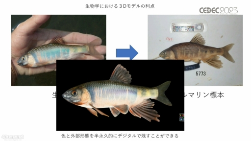画像ギャラリー No.033のサムネイル画像 / ［CEDEC 2023］生物多様性は，実はゲームやブロックチェーンと相性がいい。3Dデジタル生物標本の活用アイデアなどが語られたセッションをレポート