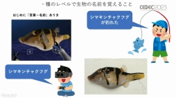 画像ギャラリー No.040のサムネイル画像 / ［CEDEC 2023］生物多様性は，実はゲームやブロックチェーンと相性がいい。3Dデジタル生物標本の活用アイデアなどが語られたセッションをレポート