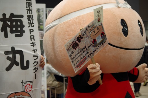 画像ギャラリー No.026のサムネイル画像 / 「信長の野望」シリーズも出展。大盛況の「お城EXPO 2023」で空前のお城ブームを実感してきた!