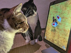 ネコ用おもちゃアプリ5作品を2匹のネコがガチレビュー。忖度なしの「ネコゲーグランプリ」を勝手に開催！