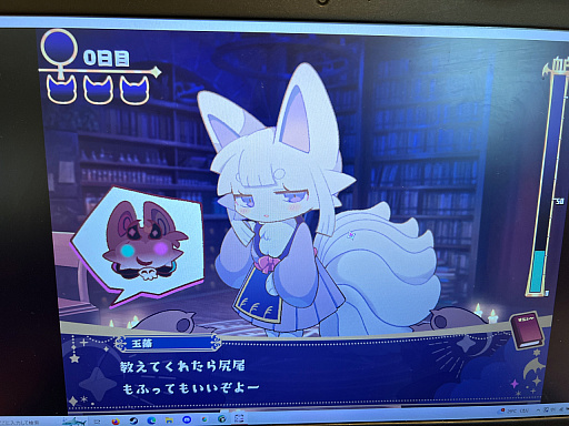 画像ギャラリー No.010のサムネイル画像 / アドベンチャー＆ノベル＆学生ゲームオンリーの「東京ゲームダンジョン外伝」。特化型だからこそ見えてきた「潮流」とは？