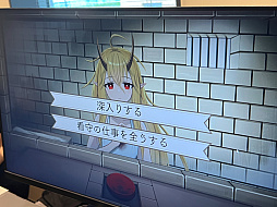画像ギャラリー No.017のサムネイル画像 / アドベンチャー＆ノベル＆学生ゲームオンリーの「東京ゲームダンジョン外伝」。特化型だからこそ見えてきた「潮流」とは？