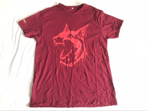 画像ギャラリー No.012のサムネイル画像 / あなたの「秘蔵のゲームTシャツ」見せてください! 4Gamerスタッフ&ライター陣に,とっておきの一着を紹介してもらった