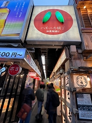 画像ギャラリー No.018のサムネイル画像 / インディーゲームの春の祭典「TOKYO INDIE GAMES SUMMIT 2025」レポート。ゲームを軸に，異業種とのコラボも生まれる場へ発展中