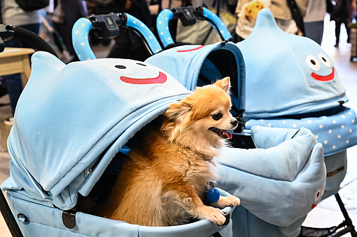 画像ギャラリー No.015のサムネイル画像 / スクエニの犬猫グッズ「SQEX PETs」も9月発売決定！　おもしろワンニャンアイテムたくさんの“インターペット2025”