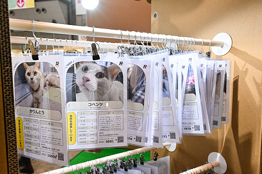 画像ギャラリー No.026のサムネイル画像 / スクエニの犬猫グッズ「SQEX PETs」も9月発売決定！　おもしろワンニャンアイテムたくさんの“インターペット2025”